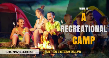 Exploring Recreational Camps: Fun, Adventure, and Learning for All Ages