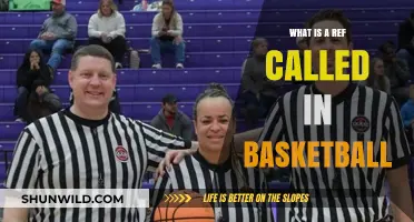 Understanding the Role of a Basketball Referee: What Are They Called?