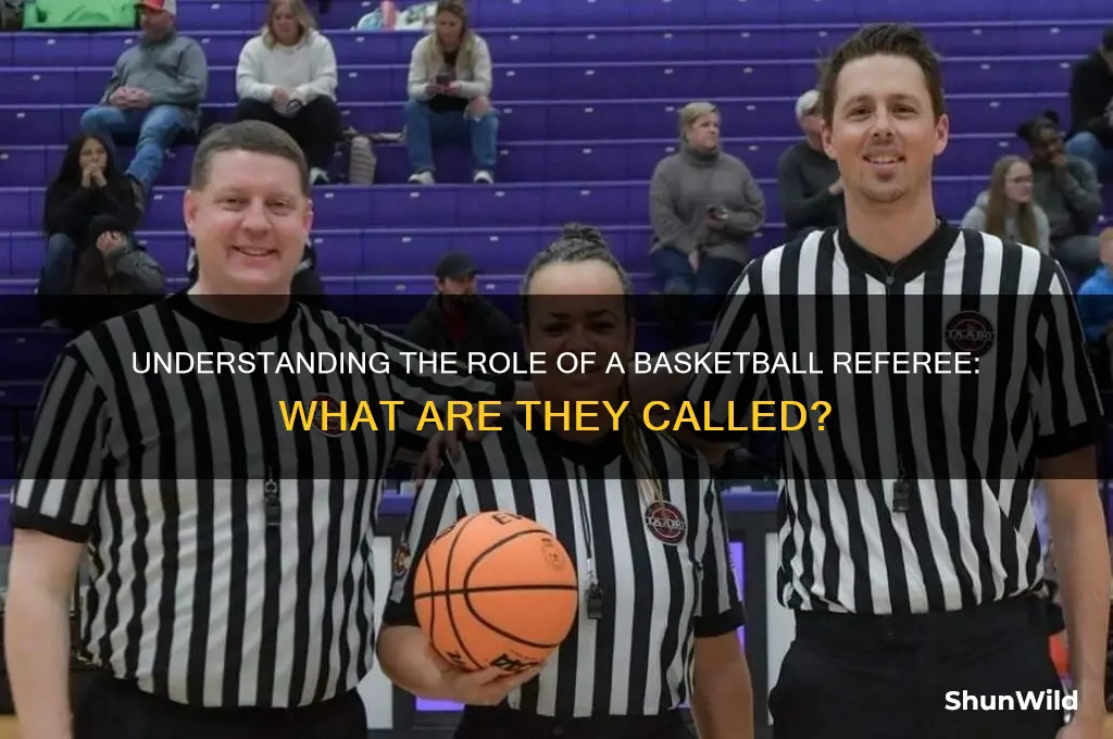 what is a ref called in basketball