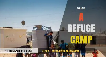 Understanding Refuge Camps: Purpose, Challenges, and Global Impact Explained