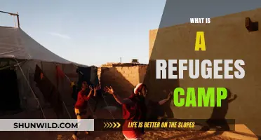 Understanding Refugee Camps: A Safe Haven for Displaced Communities