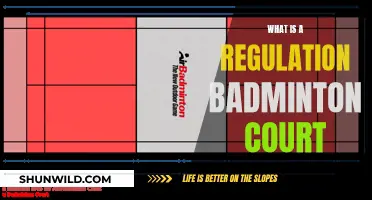 Badminton Court Regulation Standards