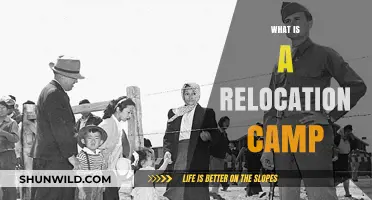 Understanding Relocation Camps: History, Purpose, and Impact Explained