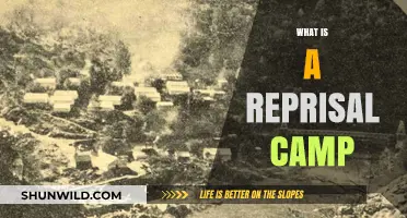 Understanding Reprisal Camps: History, Purpose, and Impact Explained
