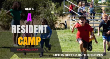 Exploring Resident Camps: Benefits, Activities, and What to Expect