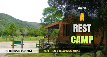 Exploring Rest Camps: Relaxation, Nature, and Adventure Retreats Unveiled