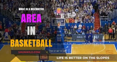 Understanding Basketball's Restricted Area: Rules, Impact, and Defensive Strategies