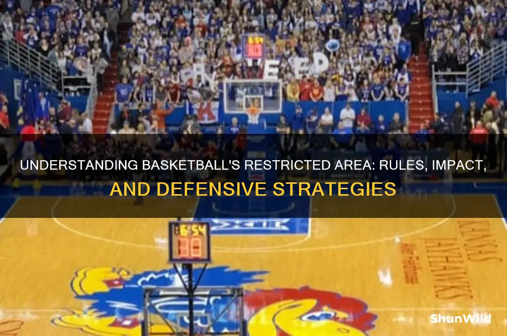 what is a restricted area in basketball