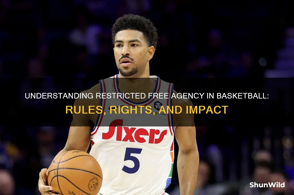 what is a restricted free agent in basketball