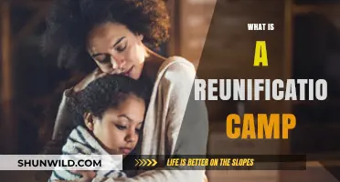 Understanding Reunification Camps: Purpose, Process, and Impact Explained
