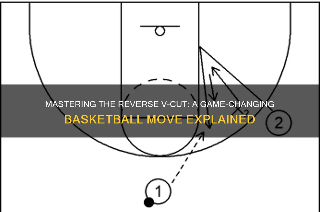what is a reverse v cut basketball