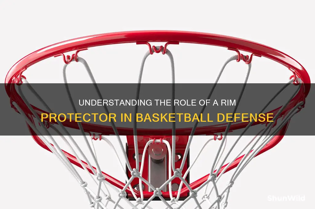 what is a rim protector in basketball