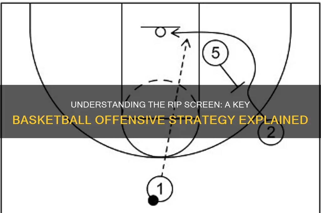 what is a rip screen in basketball