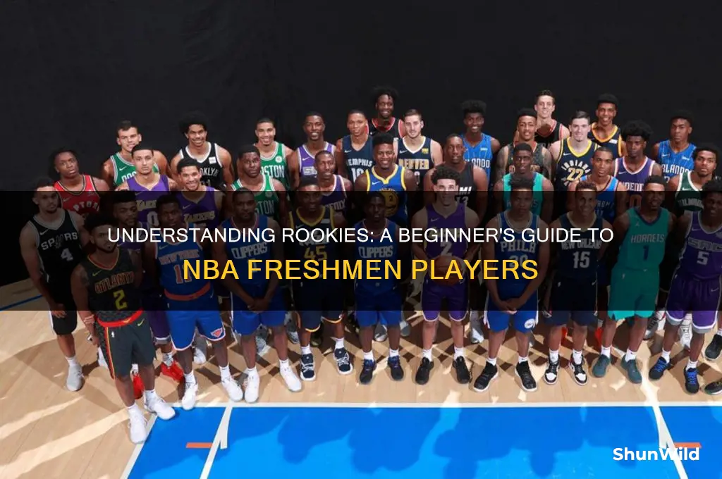 what is a rookie in basketball