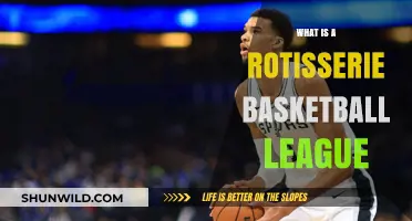 Rotisserie Basketball League Explained: A Beginner's Guide to Fantasy Hoops