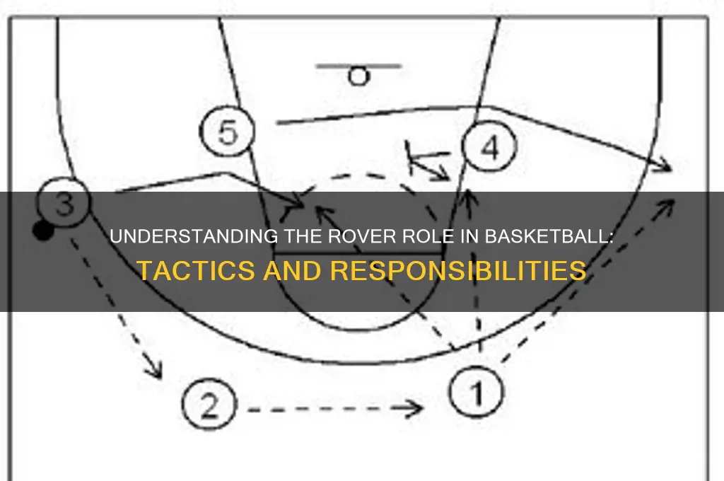 what is a rover in basketball