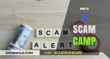 Unveiling Scam Camps: How Fraudulent Retreats Deceive and Exploit Victims