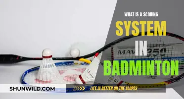 Badminton Scoring System: Understanding the Basics