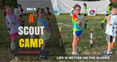 Exploring Nature, Skills, and Friendship: The Ultimate Scout Camp Experience