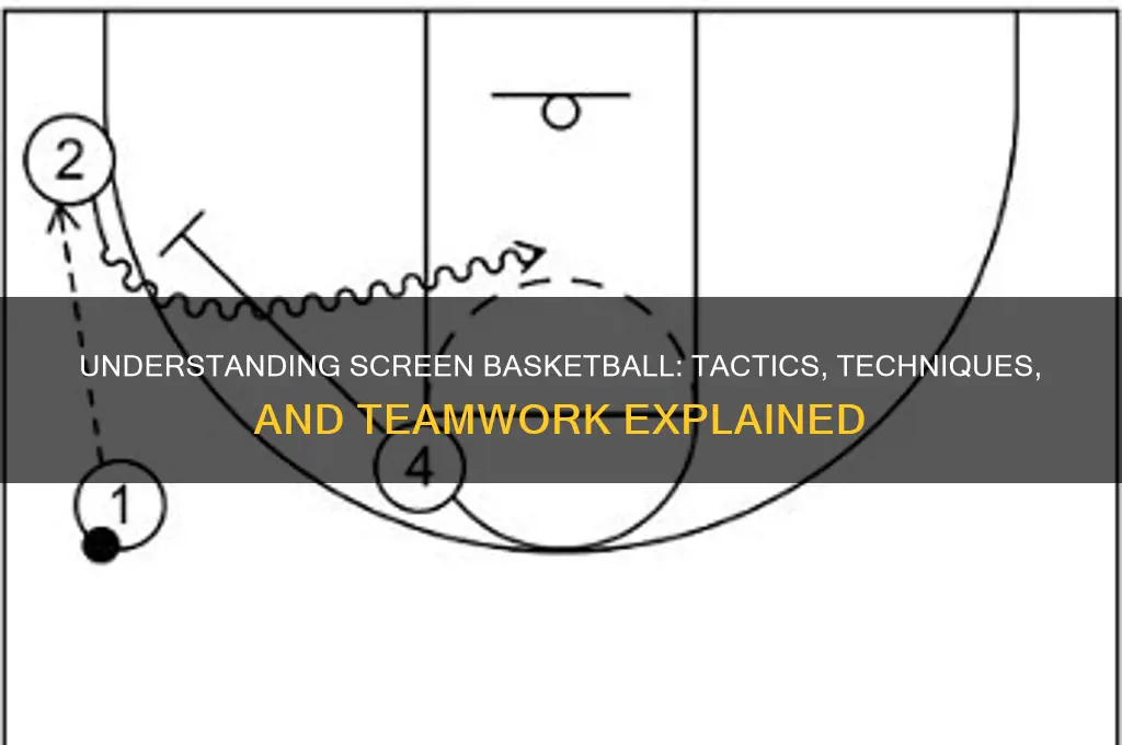 what is a screen basketball