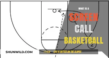 Understanding the Screen Call in Basketball: Tactics and Techniques Explained