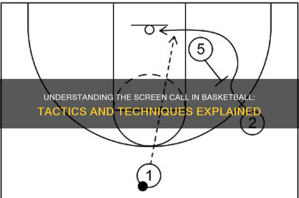 what is a screen call basketball