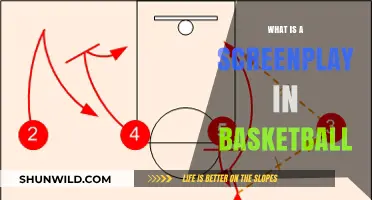 Understanding the Basketball Screenplay: Tactics, Timing, and Teamwork Explained