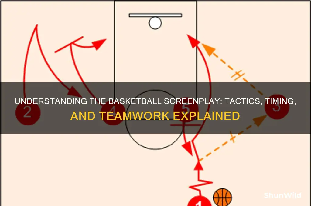 what is a screenplay in basketball