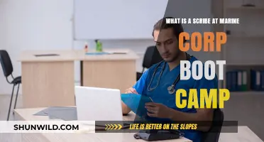 Understanding the Role of a Scribe in Marine Corps Boot Camp