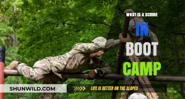 Understanding the Role of a Scribe in Boot Camp Training