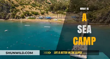 Exploring the Ocean: Understanding the Concept of a Sea Camp