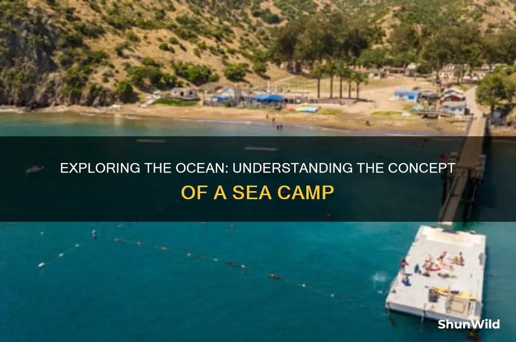 what is a sea camp