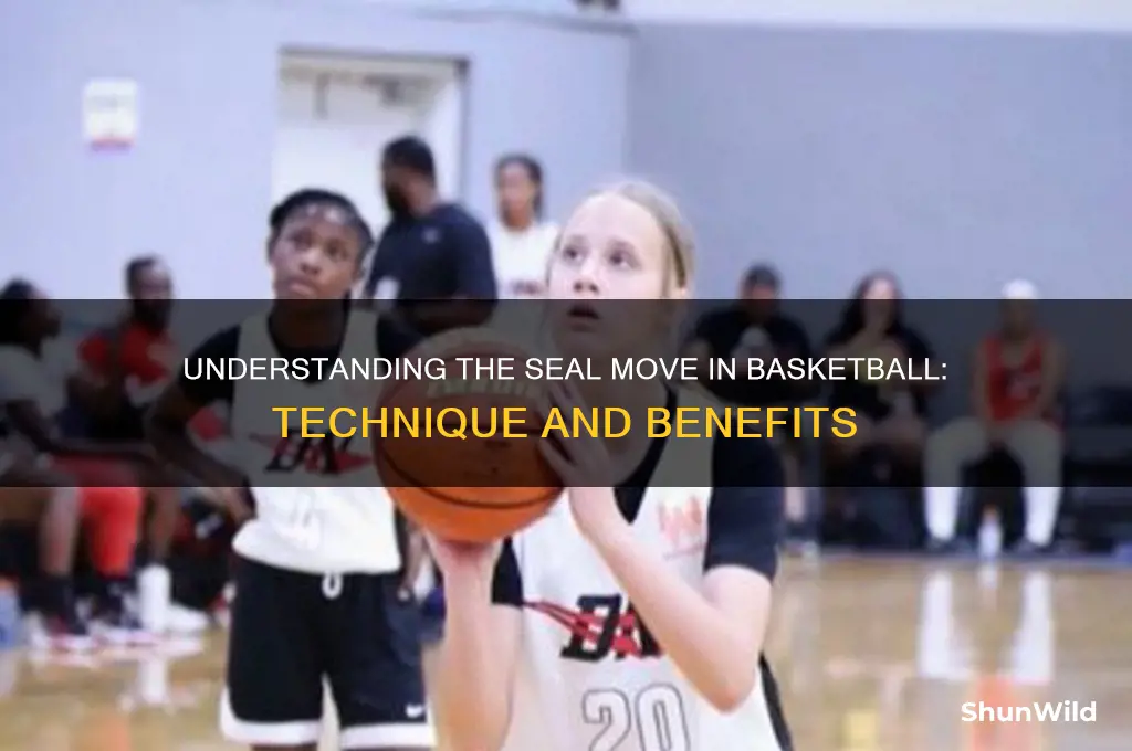 what is a seal in basketball