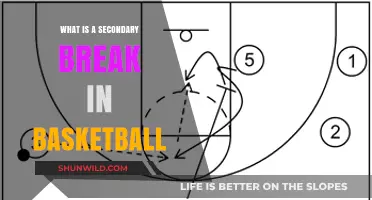 Understanding the Secondary Break: A Key Basketball Offensive Strategy