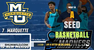 Understanding Seed Basketball: A Beginner's Guide to Tournament Rankings