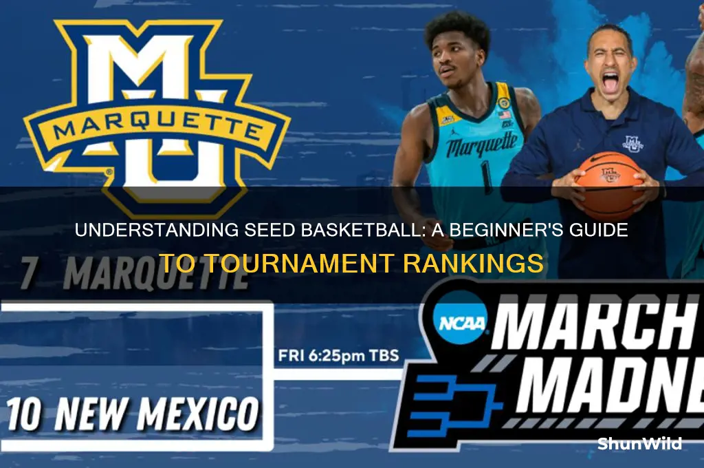 what is a seed basketball