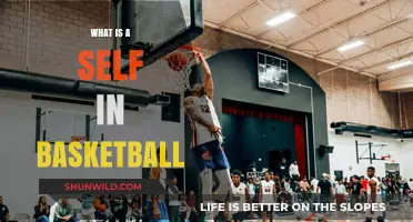 Understanding the Self in Basketball: Roles, Impact, and Team Dynamics