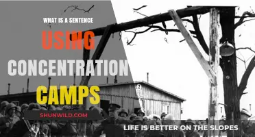 Understanding Concentration Camps: A Sentence Explaining Their Dark History