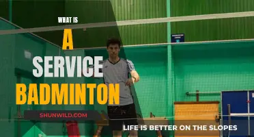 Badminton Service: Understanding the Basics