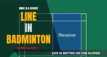 Understanding Service Lines: The Basics of Badminton