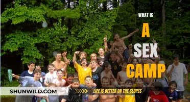 Exploring Sex Camps: Understanding Their Purpose, Impact, and Controversies