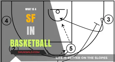 Small Forward: Basketball's Versatile Playmakers