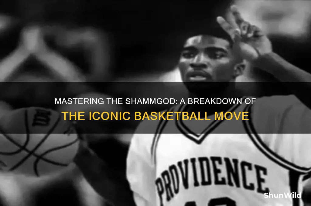 what is a shammgod basketball move