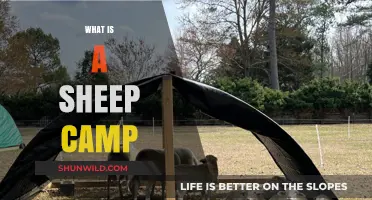 Exploring Sheep Camps: A Guide to Traditional Shepherding Shelters