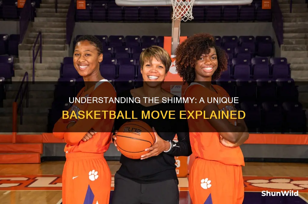what is a shimmy in basketball