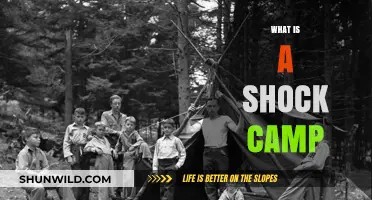 Understanding Shock Camps: Origins, Impact, and Historical Significance Explained
