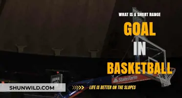 Understanding Short-Range Goals in Basketball: Techniques and Strategies
