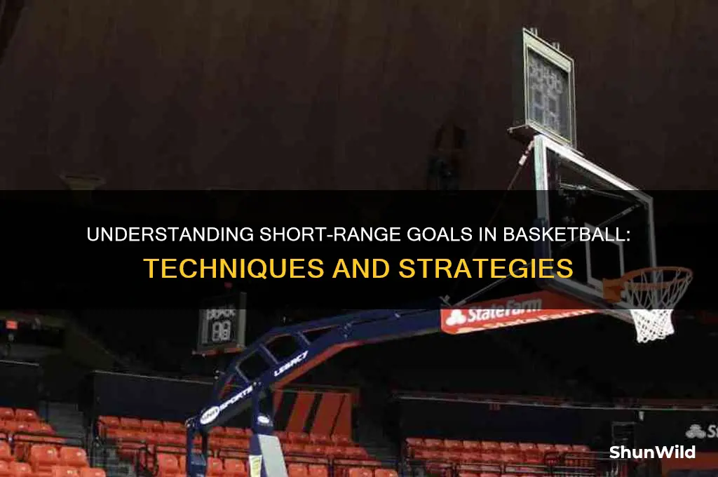 what is a short range goal in basketball