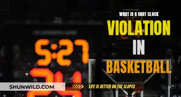 Understanding Shot Clock Violations in Basketball