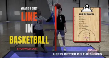 Understanding the Shot Line: A Beginner's Guide to Basketball's Key Markers